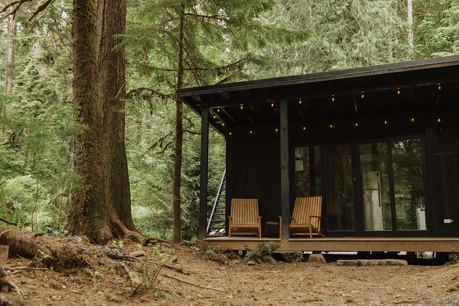 Destination Elopement Guide: View from outside of Airbnb in the woods.