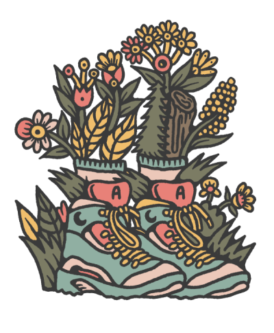 Decorative Image